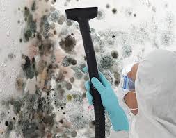 Best Industrial Mold Remediation  in Troy, NY